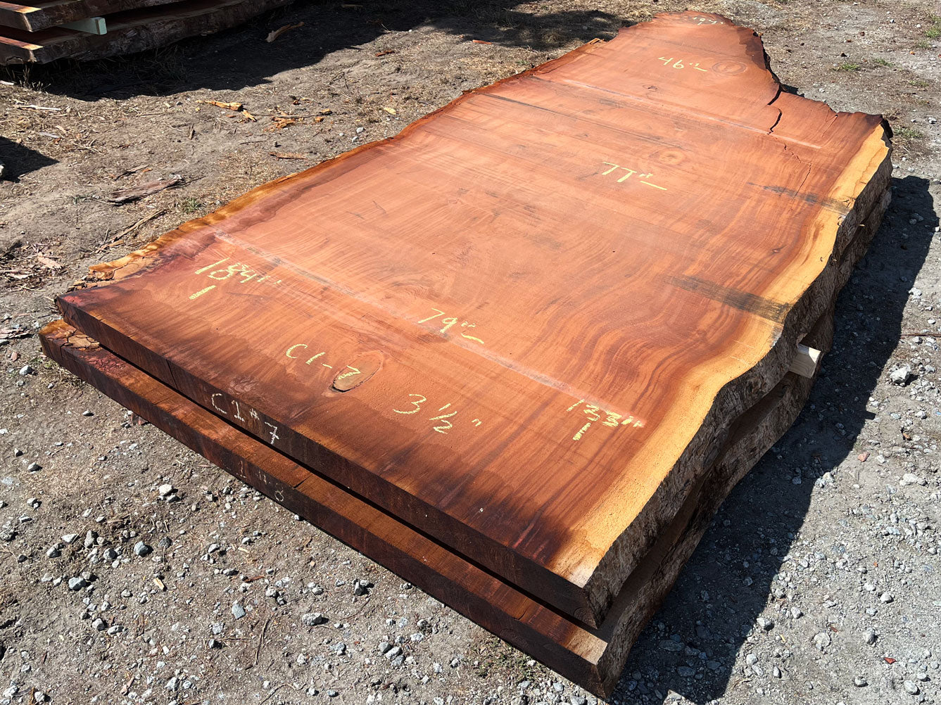 Giant Sequoia Live Edge Slab – 15.33' x 79" x 3.5" – Old Growth, Air-Dried – #C1-7