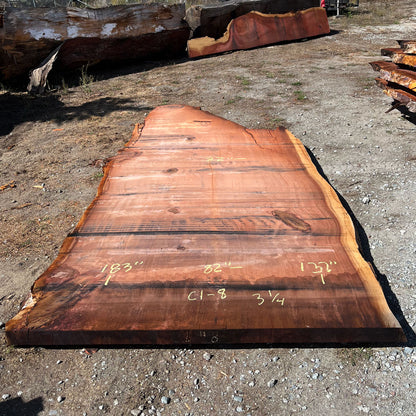 Giant Sequoia Live Edge Slab – 15.25' x 82" x 3.25" – Old Growth, Air-Dried – #C1-8