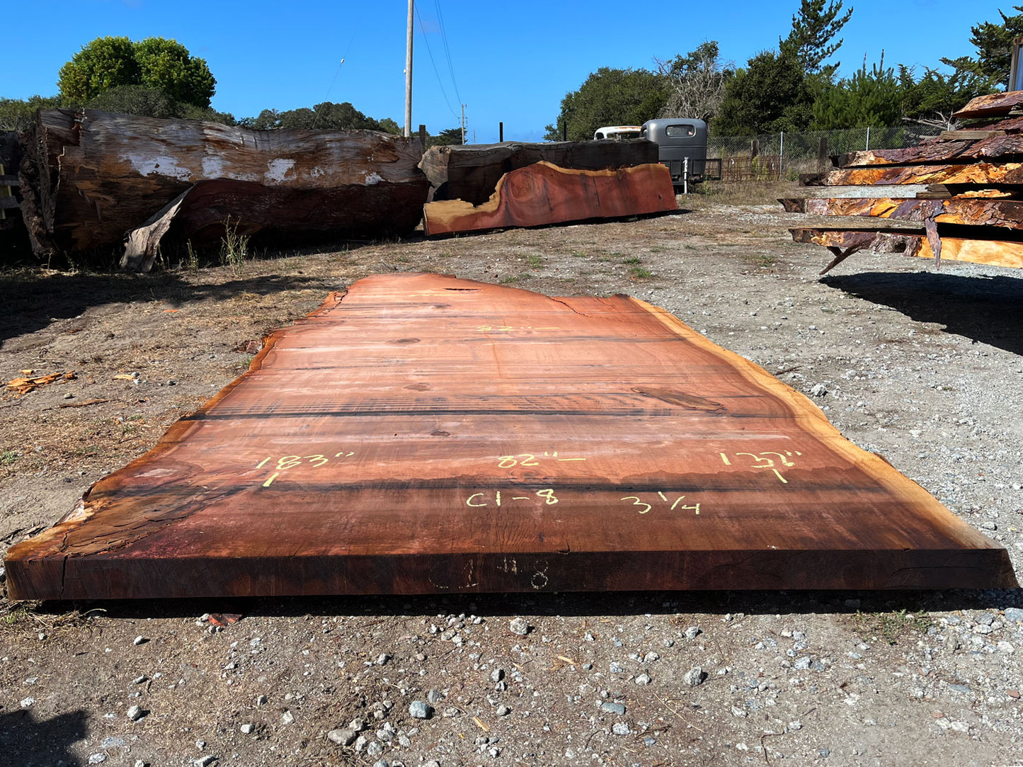 Giant Sequoia Live Edge Slab – 15.25' x 82" x 3.25" – Old Growth, Air-Dried – #C1-8
