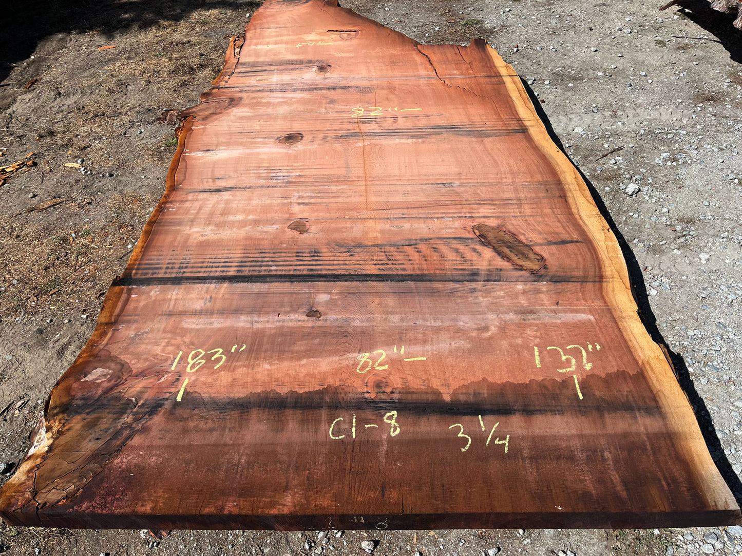 Giant Sequoia Live Edge Slab – 15.25' x 82" x 3.25" – Old Growth, Air-Dried – #C1-8