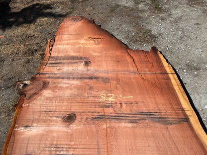 Giant Sequoia Live Edge Slab – 15.25' x 82" x 3.25" – Old Growth, Air-Dried – #C1-8