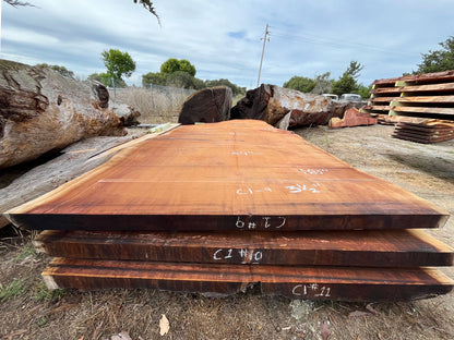 Giant Sequoia Live Edge Slab – 15.42' x 84" x 3.5" – Old Growth, Air-Dried – #C1-9