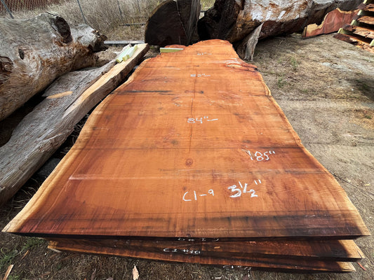 Giant Sequoia Live Edge Slab – 15.42' x 84" x 3.5" – Old Growth, Air-Dried – #C1-9