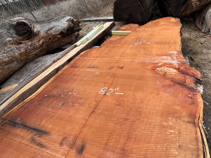 Giant Sequoia Live Edge Slab – 15.42' x 84" x 3.5" – Old Growth, Air-Dried – #C1-9