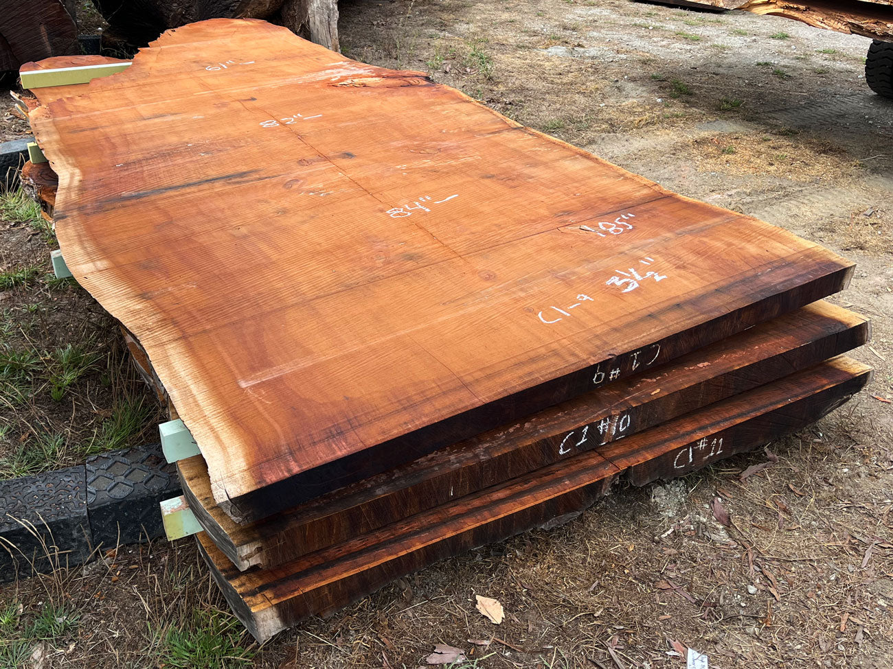 Giant Sequoia Live Edge Slab – 15.42' x 84" x 3.5" – Old Growth, Air-Dried – #C1-9