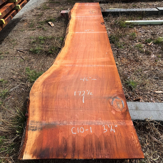 Giant Sequoia Live Edge Slab – 14.38' x 46" x 3.25" – Old Growth, Air-Dried – #C10-1