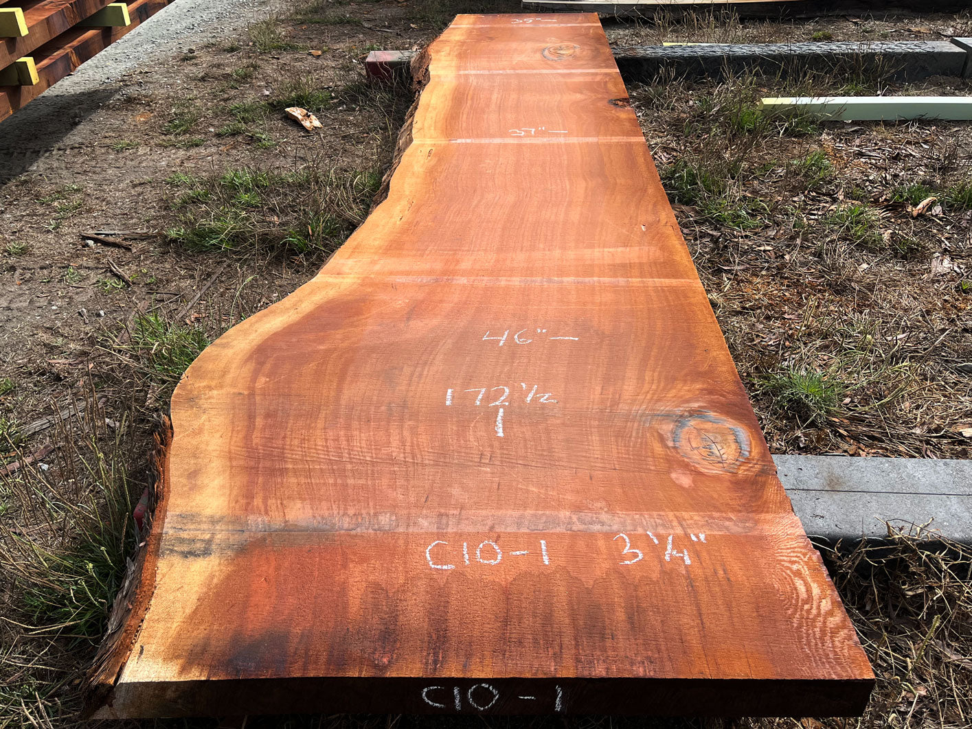 Giant Sequoia Live Edge Slab – 14.38' x 46" x 3.25" – Old Growth, Air-Dried – #C10-1