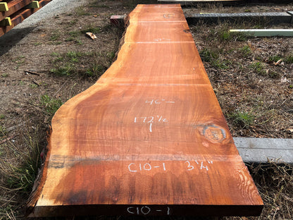 Giant Sequoia Live Edge Slab – 14.38' x 46" x 3.25" – Old Growth, Air-Dried – #C10-1