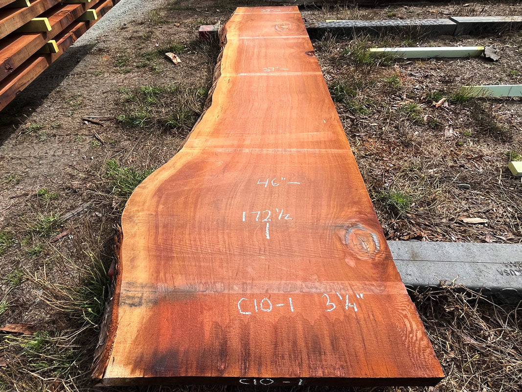 Giant Sequoia Live Edge Slab – 14.38' x 46" x 3.25" – Old Growth, Air-Dried – #C10-1