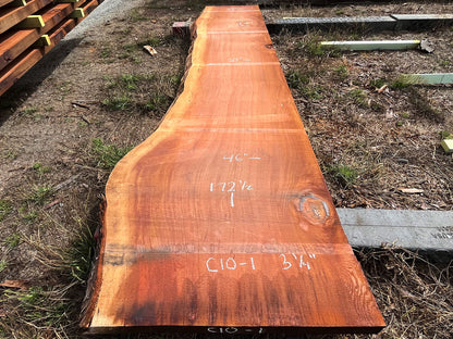 Giant Sequoia Live Edge Slab – 14.38' x 46" x 3.25" – Old Growth, Air-Dried – #C10-1