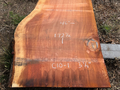 Giant Sequoia Live Edge Slab – 14.38' x 46" x 3.25" – Old Growth, Air-Dried – #C10-1