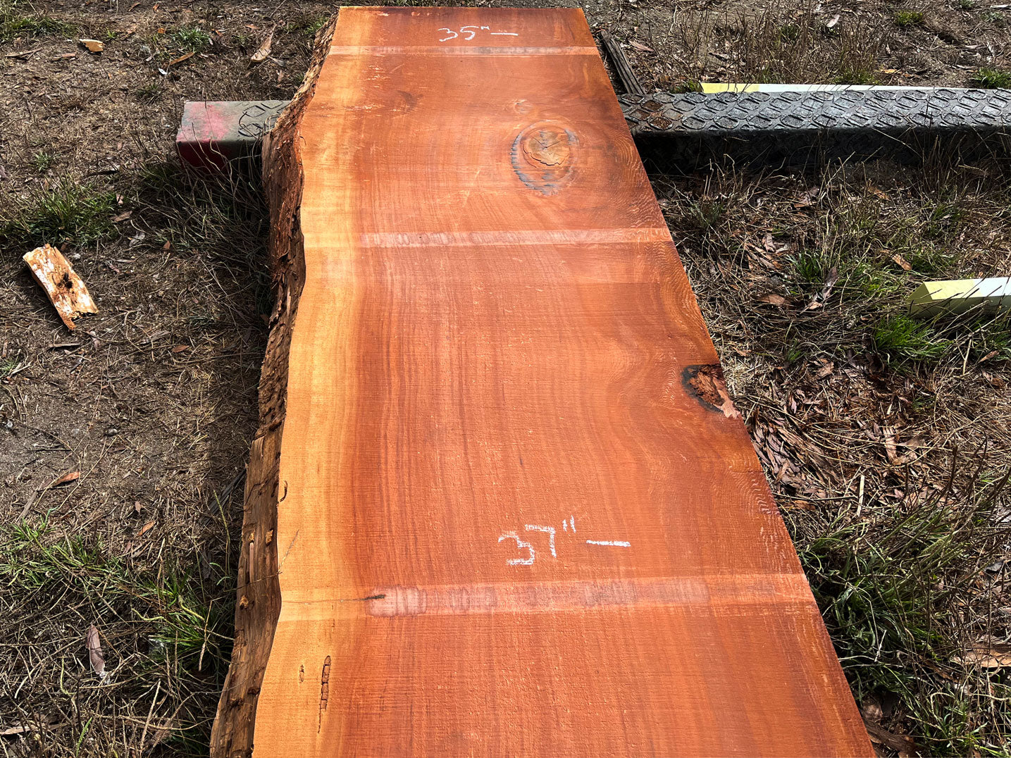 Giant Sequoia Live Edge Slab – 14.38' x 46" x 3.25" – Old Growth, Air-Dried – #C10-1