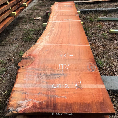Giant Sequoia Live Edge Slab – 14.33' x 48" x 3" – Old Growth, Air-Dried – #C10-2