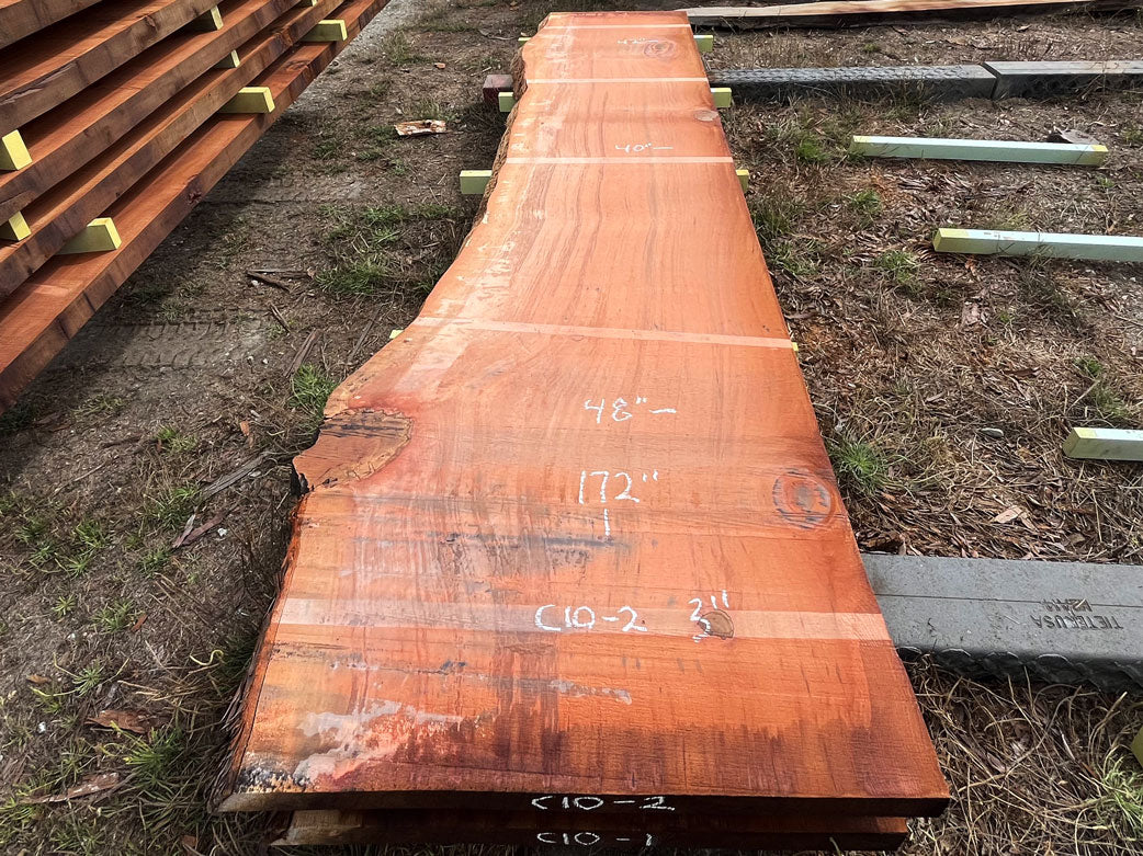 Giant Sequoia Live Edge Slab – 14.33' x 48" x 3" – Old Growth, Air-Dried – #C10-2