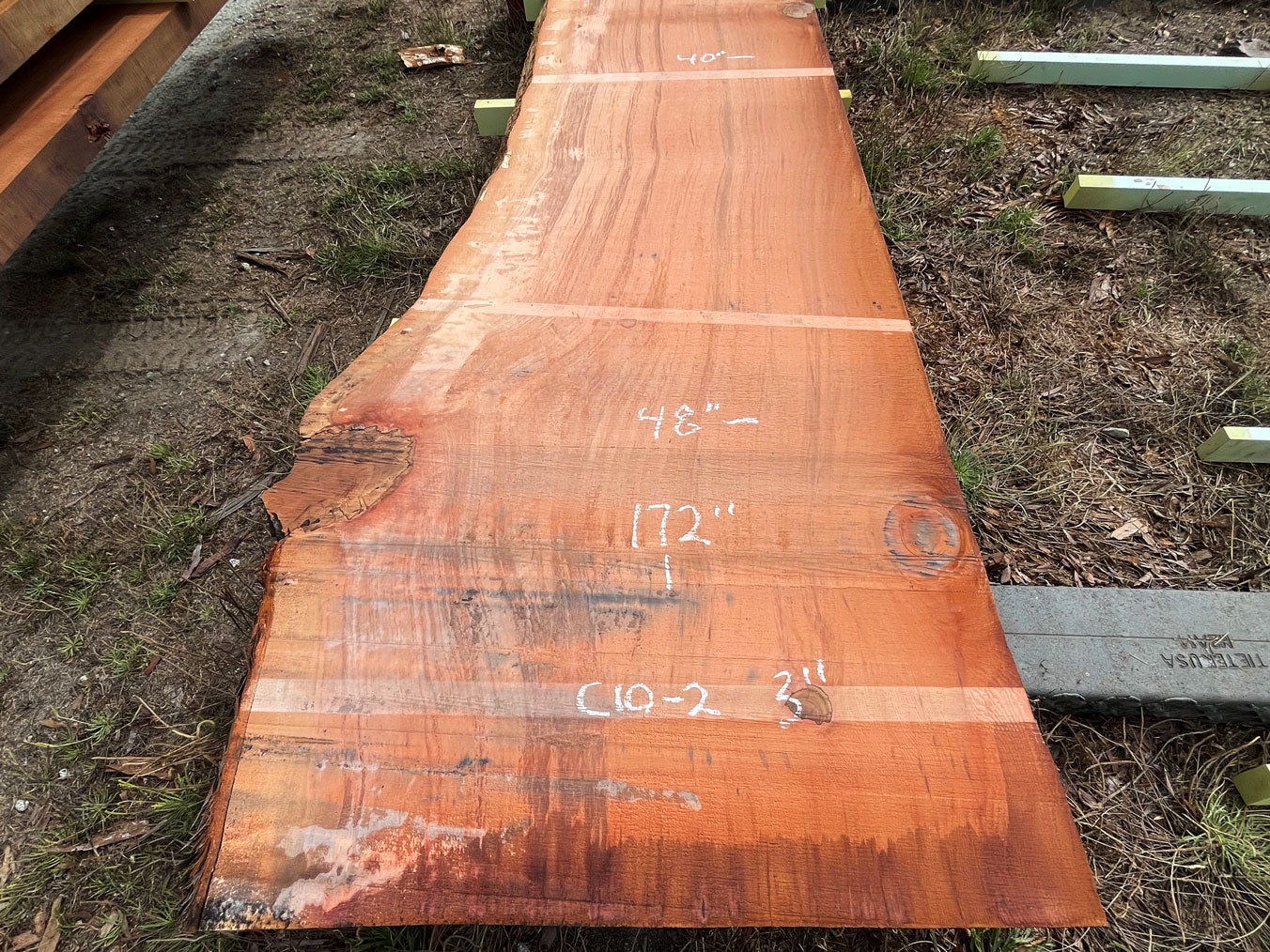 Giant Sequoia Live Edge Slab – 14.33' x 48" x 3" – Old Growth, Air-Dried – #C10-2