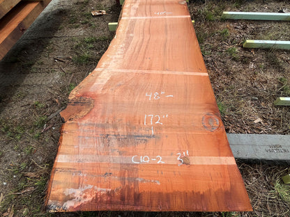 Giant Sequoia Live Edge Slab – 14.33' x 48" x 3" – Old Growth, Air-Dried – #C10-2