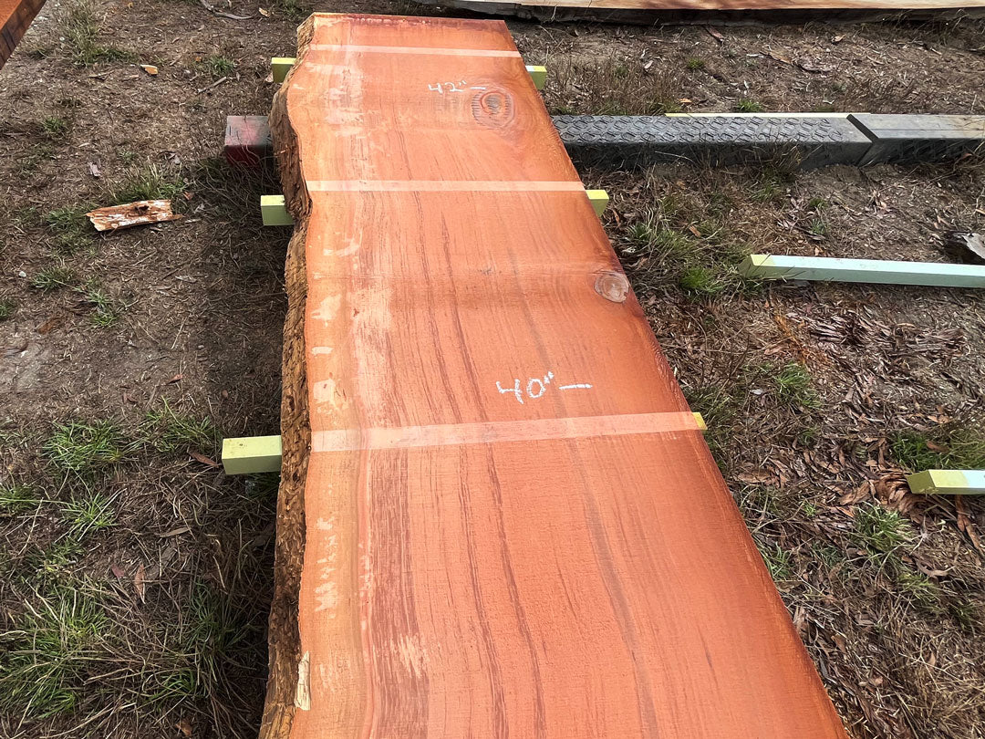 Giant Sequoia Live Edge Slab – 14.33' x 48" x 3" – Old Growth, Air-Dried – #C10-2