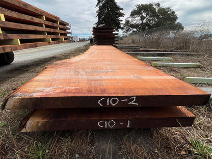 Giant Sequoia Live Edge Slab – 14.33' x 48" x 3" – Old Growth, Air-Dried – #C10-2