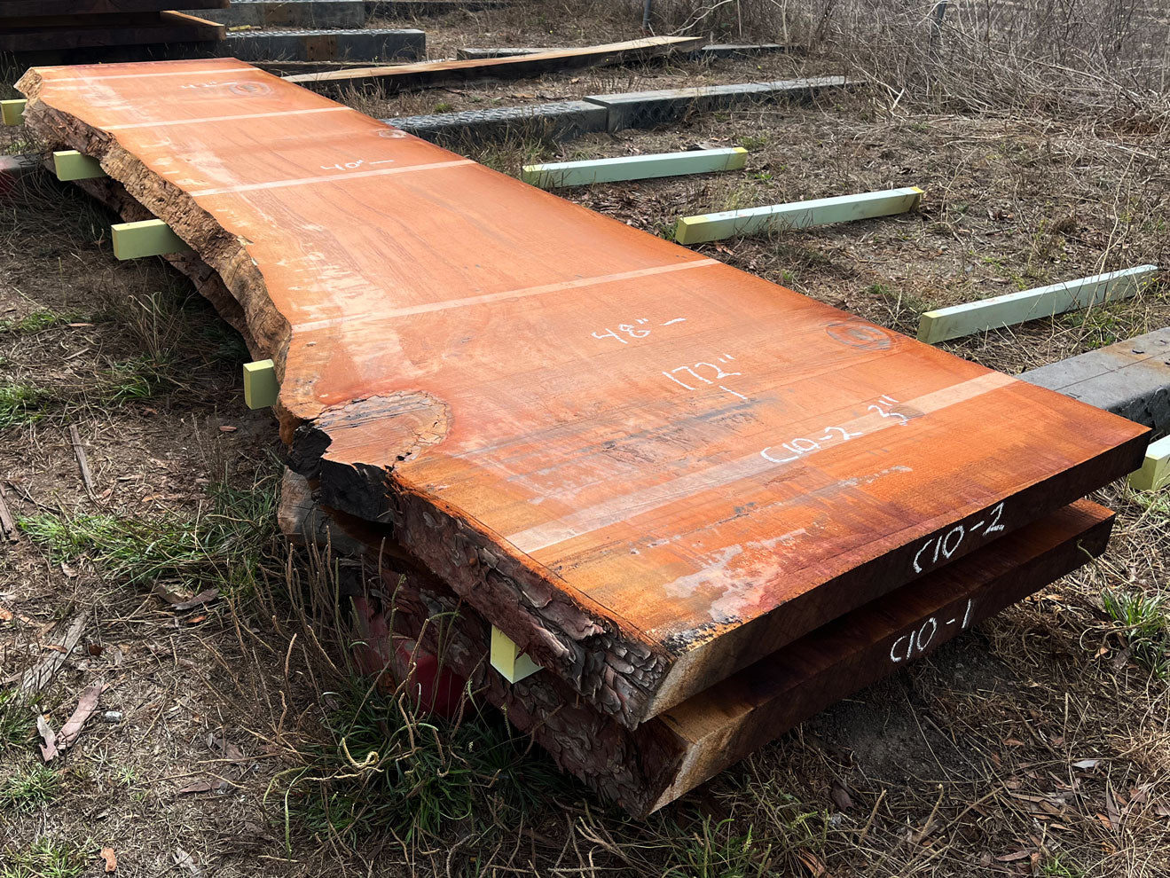 Giant Sequoia Live Edge Slab – 14.33' x 48" x 3" – Old Growth, Air-Dried – #C10-2