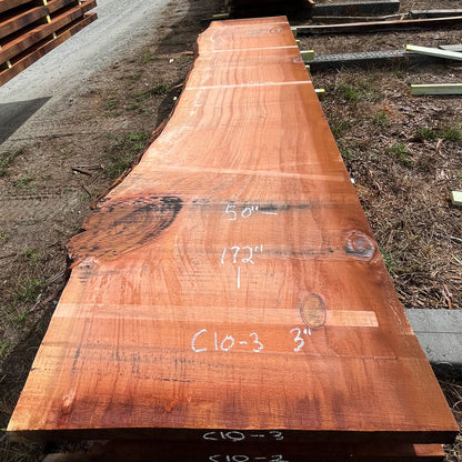 Giant Sequoia Live Edge Slab – 14.33' x 50" x 3" – Old Growth, Air-Dried – #C10-3