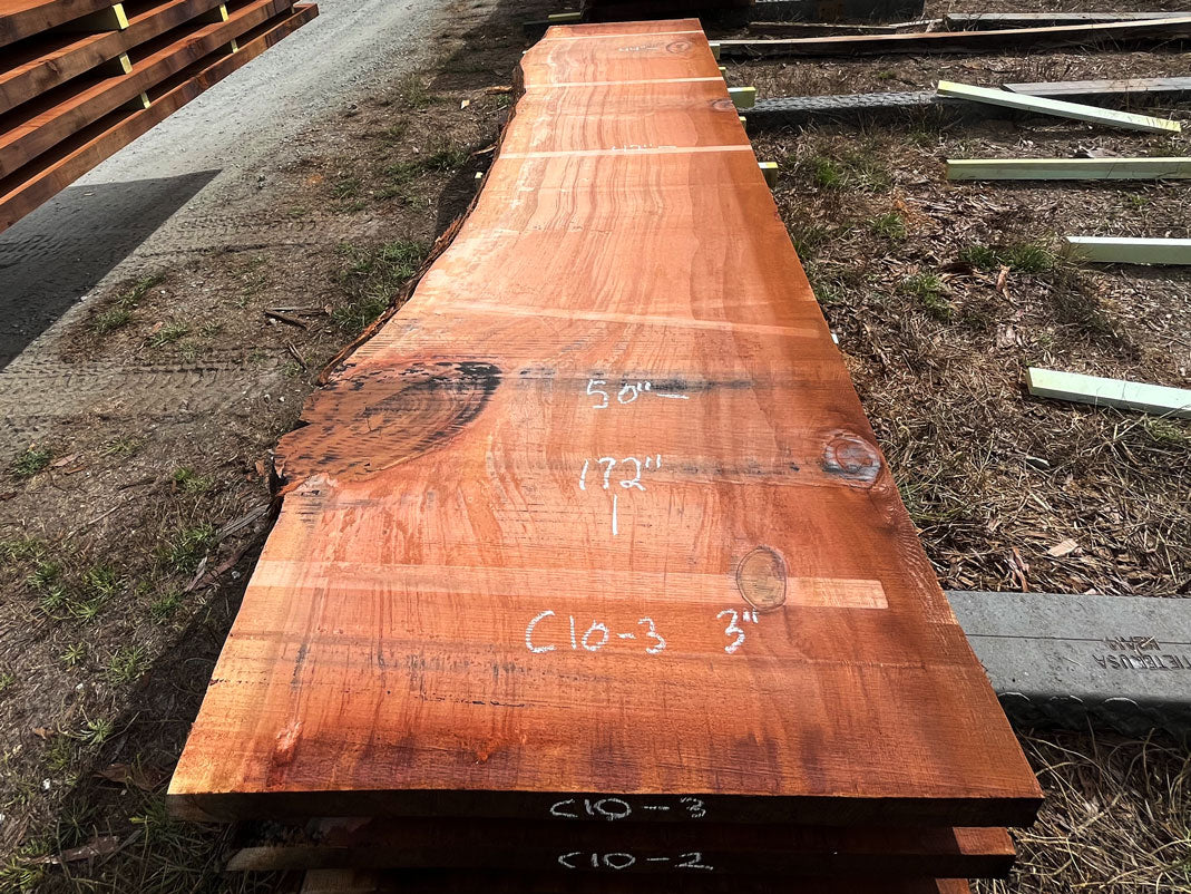 Giant Sequoia Live Edge Slab – 14.33' x 50" x 3" – Old Growth, Air-Dried – #C10-3