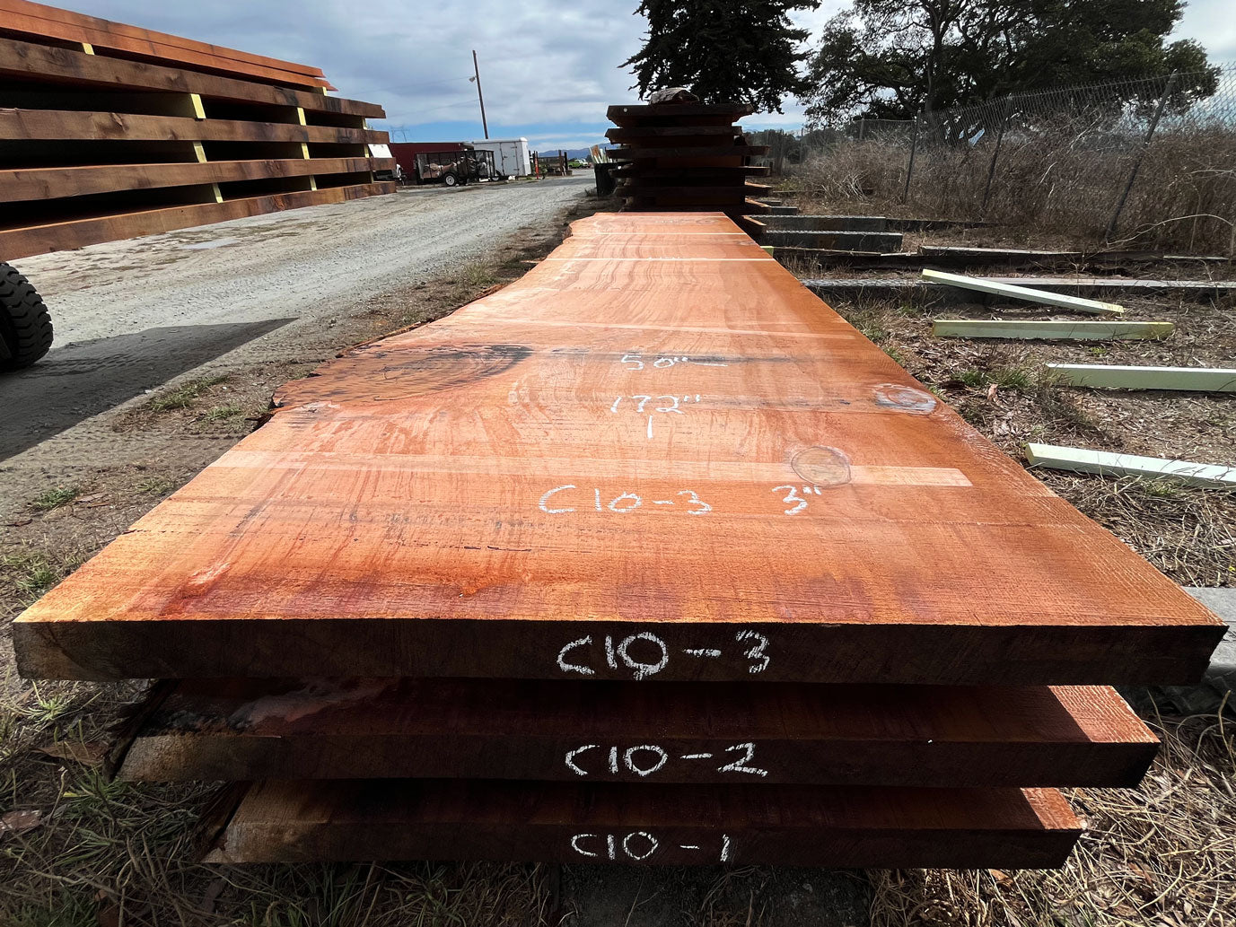 Giant Sequoia Live Edge Slab – 14.33' x 50" x 3" – Old Growth, Air-Dried – #C10-3