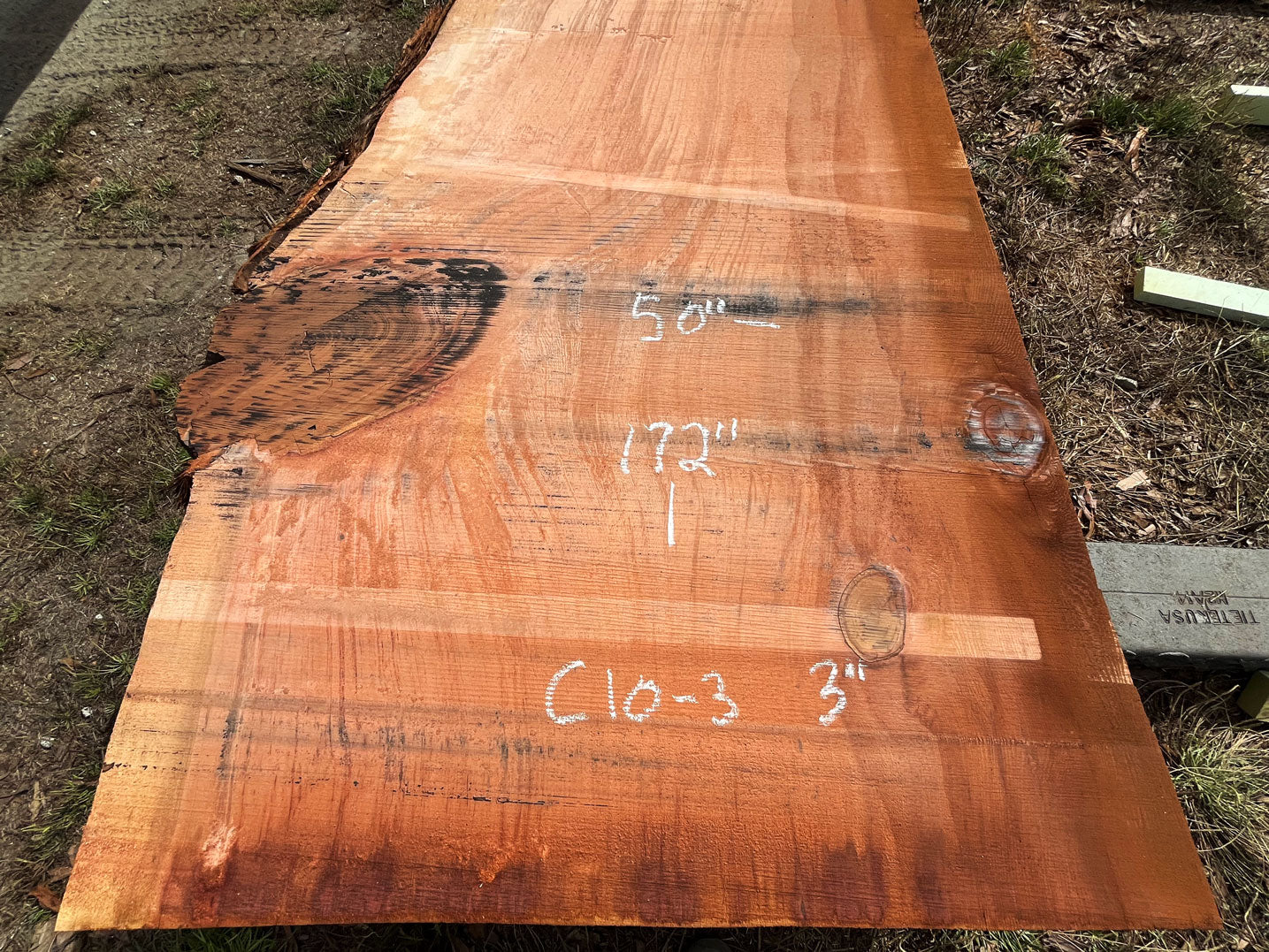 Giant Sequoia Live Edge Slab – 14.33' x 50" x 3" – Old Growth, Air-Dried – #C10-3