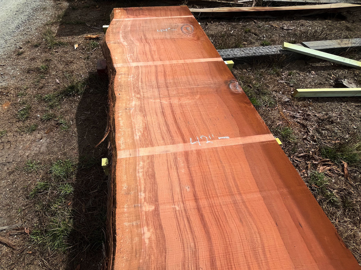 Giant Sequoia Live Edge Slab – 14.33' x 50" x 3" – Old Growth, Air-Dried – #C10-3