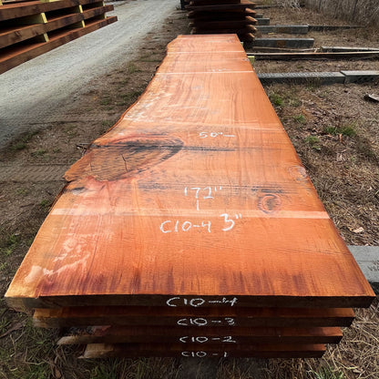 Giant Sequoia Live Edge Slab – 14.33' x 50" x 3" – Old Growth, Air-Dried – #C10-4