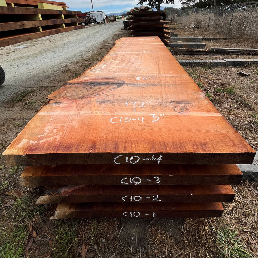 Giant Sequoia Live Edge Slab – 14.33' x 50" x 3" – Old Growth, Air-Dried – #C10-4