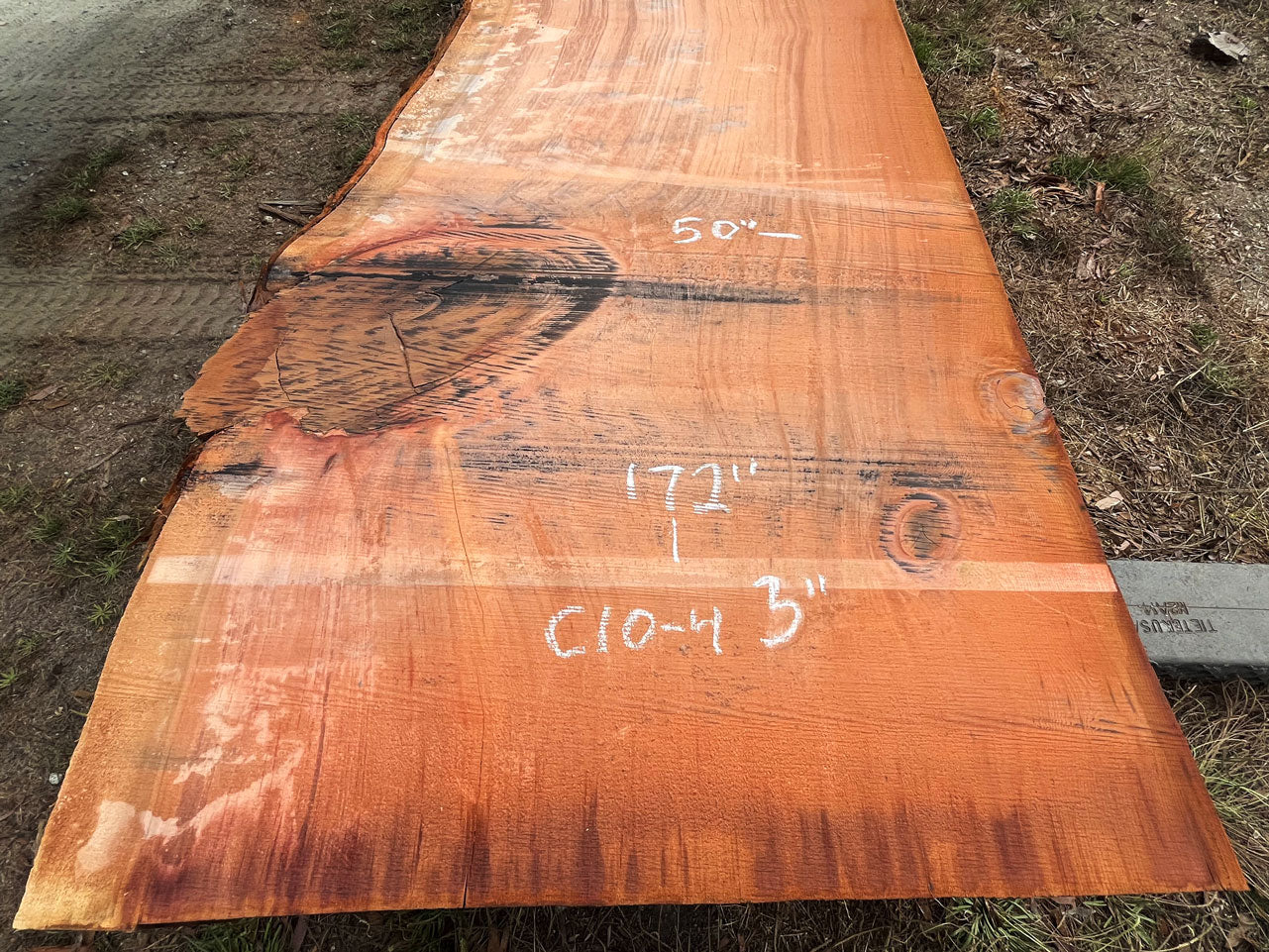 Giant Sequoia Live Edge Slab – 14.33' x 50" x 3" – Old Growth, Air-Dried – #C10-4