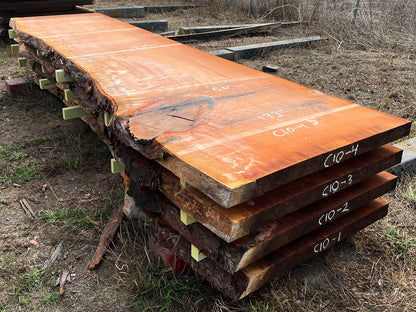 Giant Sequoia Live Edge Slab – 14.33' x 50" x 3" – Old Growth, Air-Dried – #C10-4