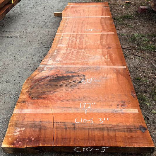 Giant Sequoia Live Edge Slab – 14.33' x 50" x 3" – Old Growth, Air-Dried – #C10-5