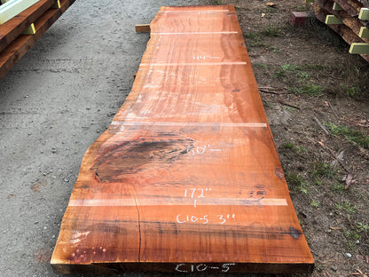Giant Sequoia Live Edge Slab – 14.33' x 50" x 3" – Old Growth, Air-Dried – #C10-5