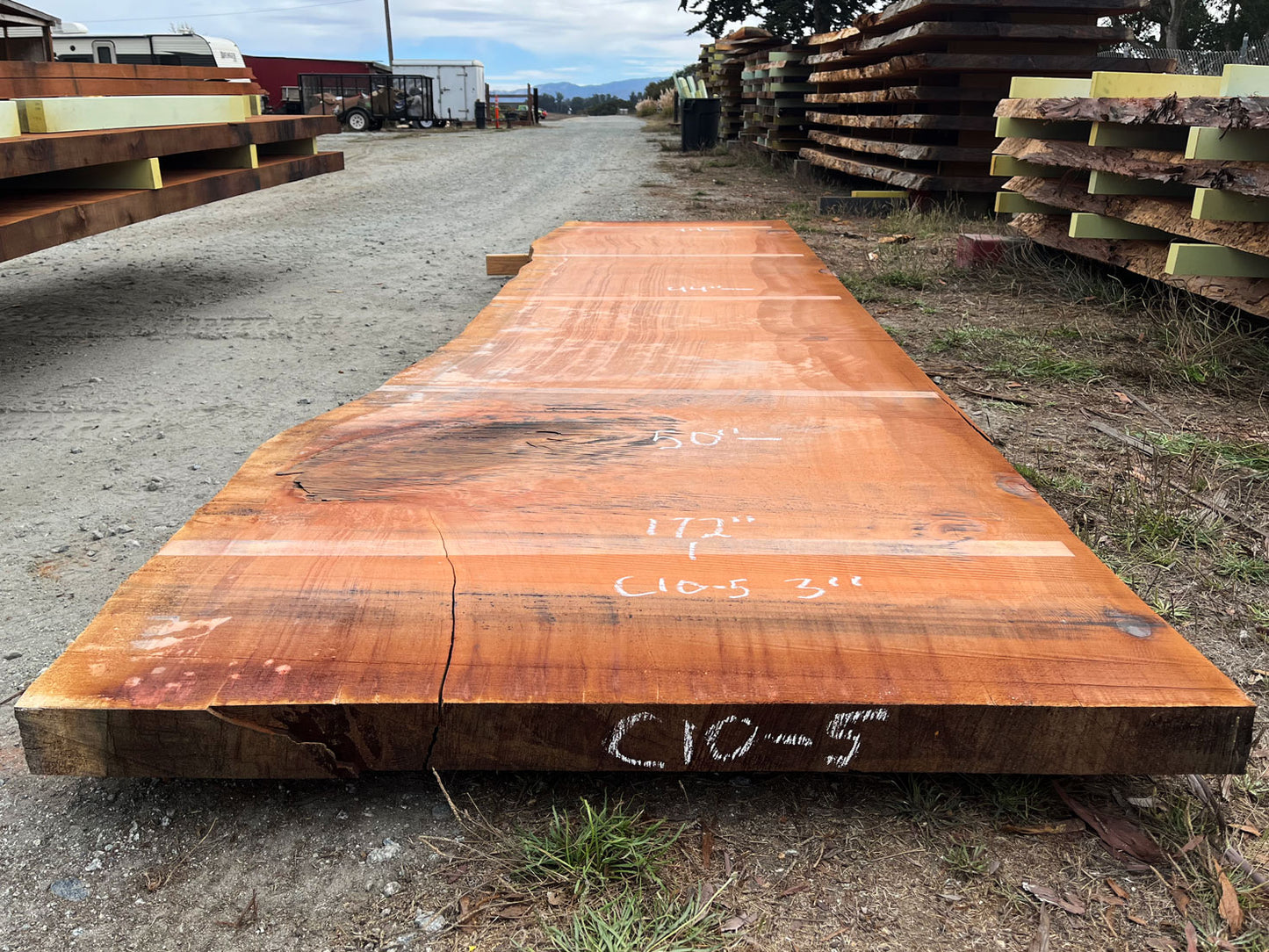 Giant Sequoia Live Edge Slab – 14.33' x 50" x 3" – Old Growth, Air-Dried – #C10-5