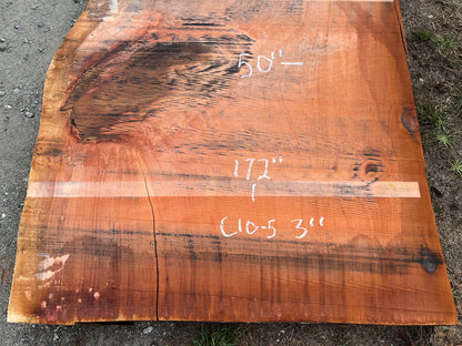 Giant Sequoia Live Edge Slab – 14.33' x 50" x 3" – Old Growth, Air-Dried – #C10-5