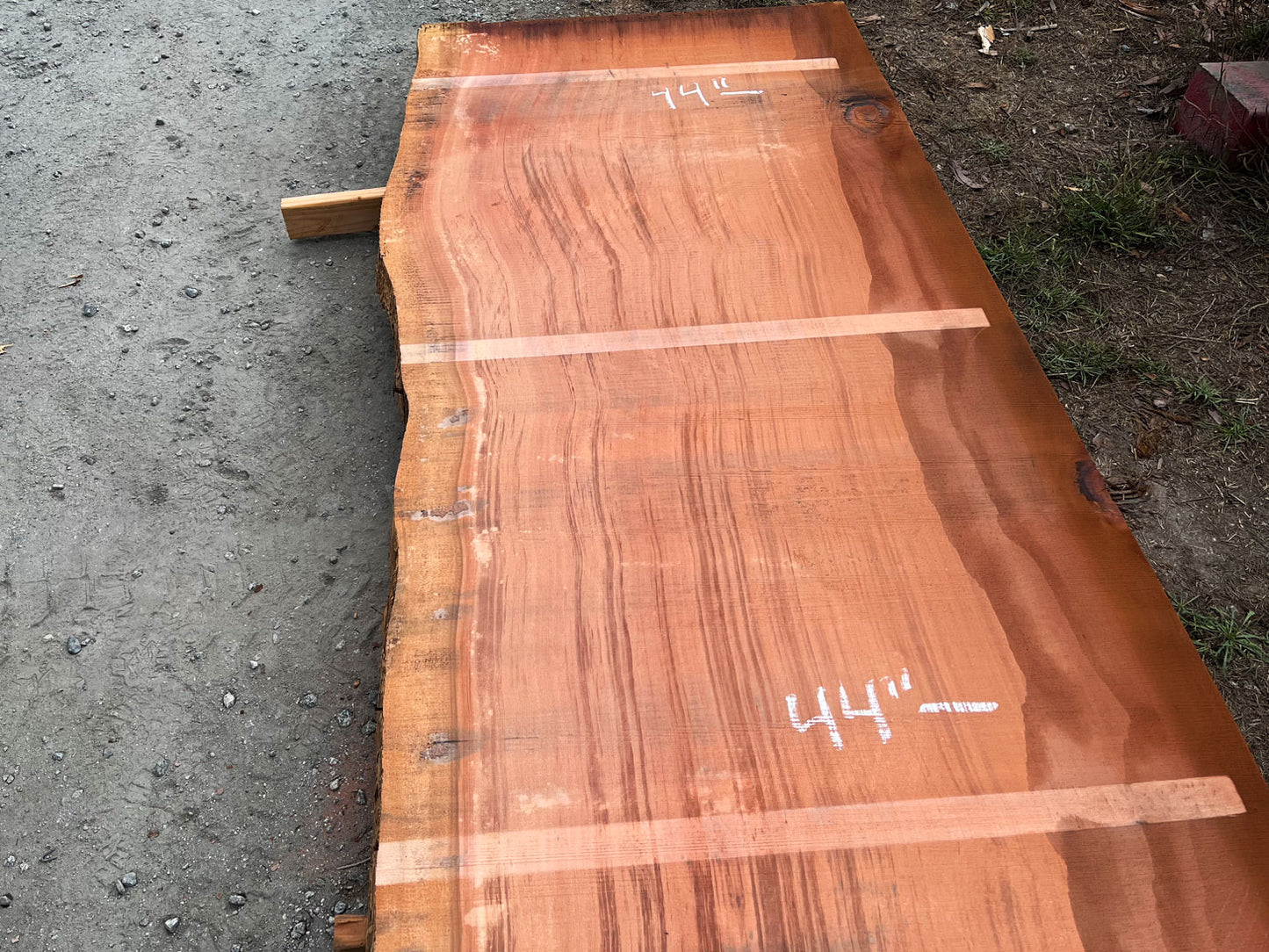 Giant Sequoia Live Edge Slab – 14.33' x 50" x 3" – Old Growth, Air-Dried – #C10-5
