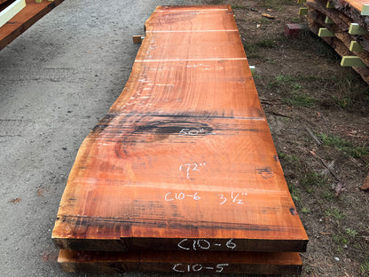 Giant Sequoia Live Edge Slab – 14.33' x 50" x 3.5" – Old Growth, Air-Dried – #C10-6