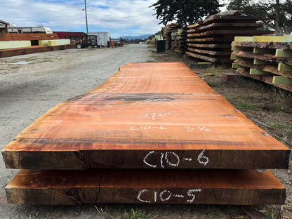 Giant Sequoia Live Edge Slab – 14.33' x 50" x 3.5" – Old Growth, Air-Dried – #C10-6