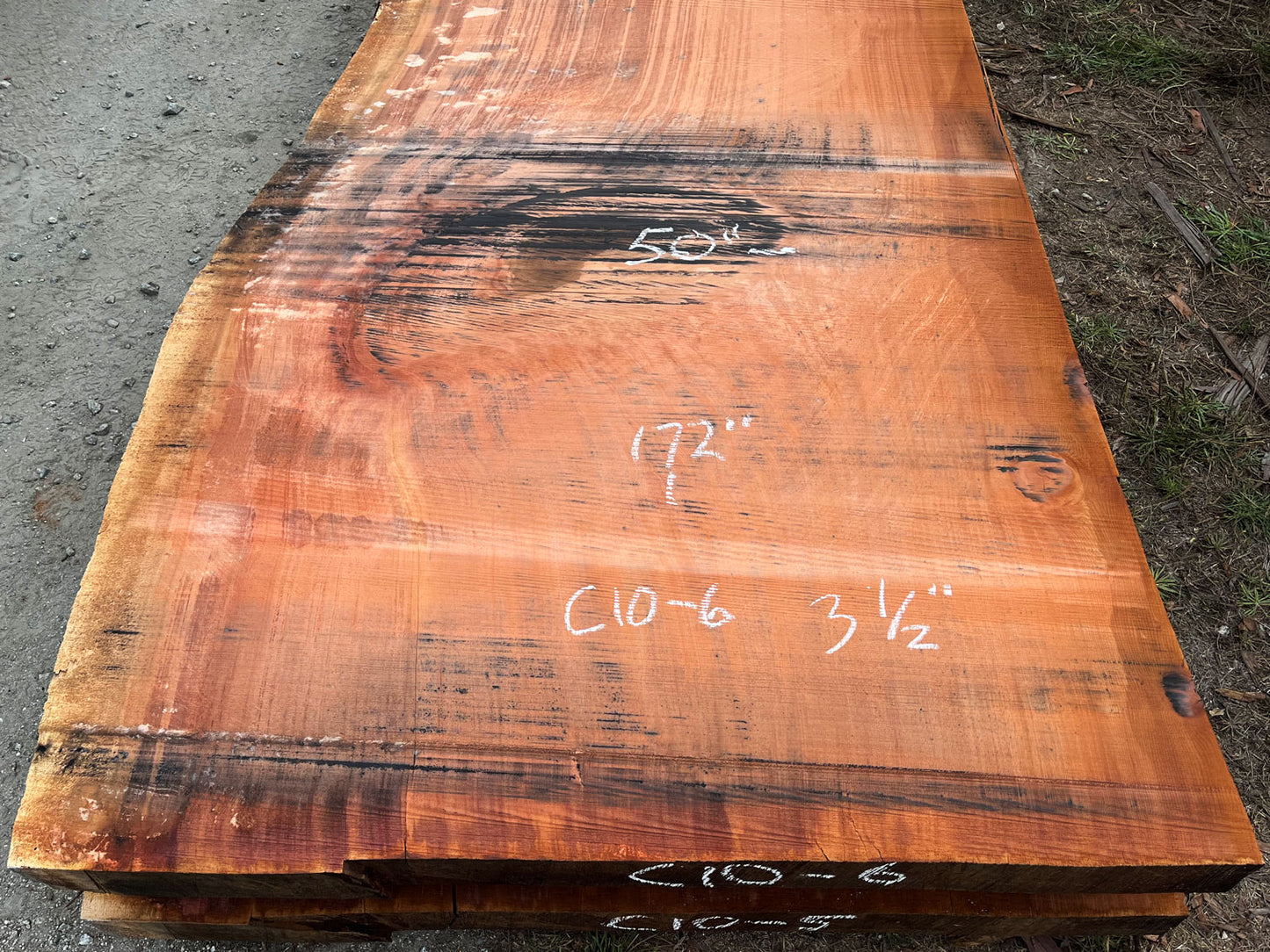 Giant Sequoia Live Edge Slab – 14.33' x 50" x 3.5" – Old Growth, Air-Dried – #C10-6