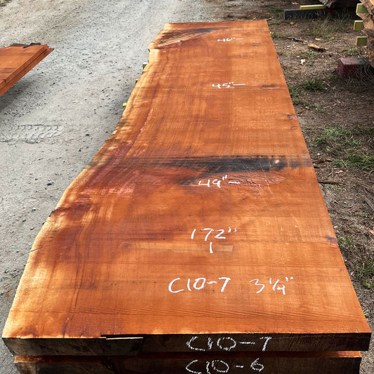 Giant Sequoia Live Edge Slab – 14.33' x 49" x 3.25" – Old Growth, Air-Dried – #C10-7