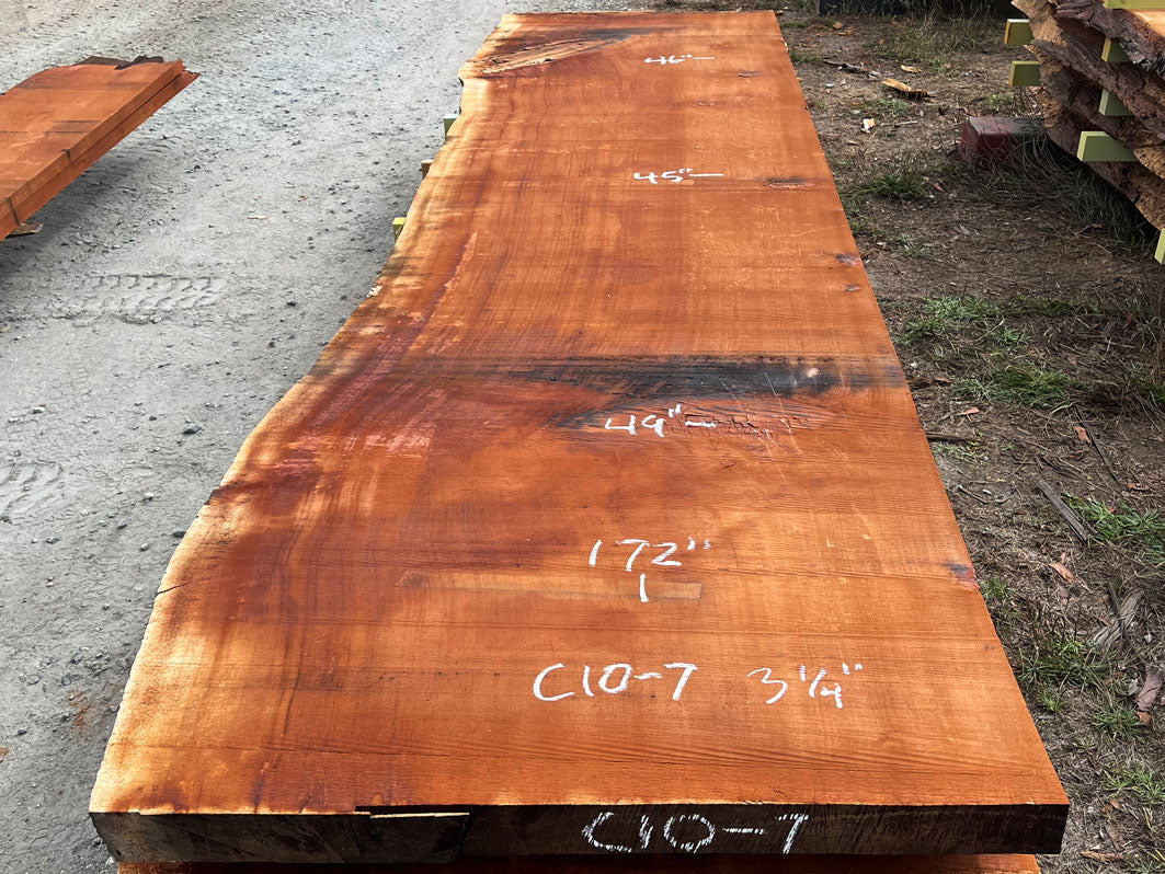 Giant Sequoia Live Edge Slab – 14.33' x 49" x 3.25" – Old Growth, Air-Dried – #C10-7