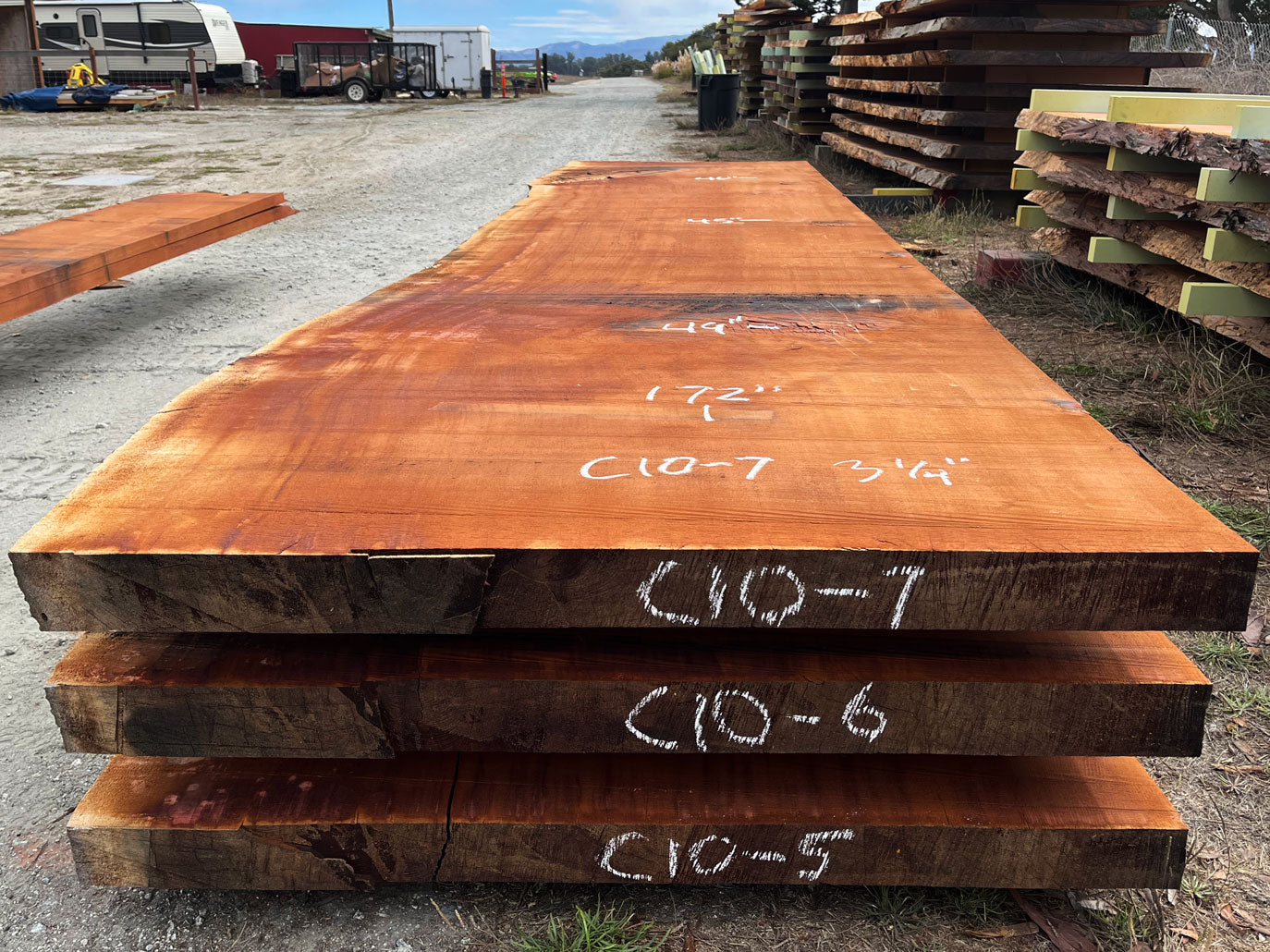 Giant Sequoia Live Edge Slab – 14.33' x 49" x 3.25" – Old Growth, Air-Dried – #C10-7
