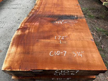 Giant Sequoia Live Edge Slab – 14.33' x 49" x 3.25" – Old Growth, Air-Dried – #C10-7