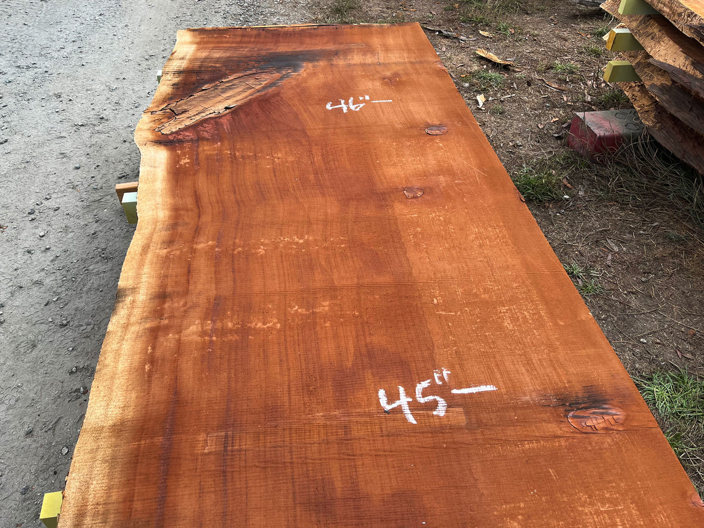 Giant Sequoia Live Edge Slab – 14.33' x 49" x 3.25" – Old Growth, Air-Dried – #C10-7