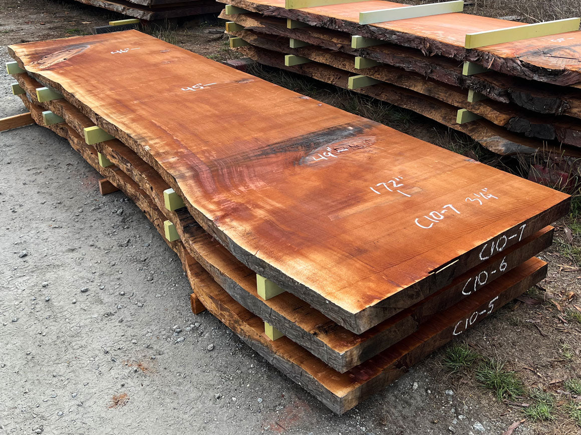 Giant Sequoia Live Edge Slab – 14.33' x 49" x 3.25" – Old Growth, Air-Dried – #C10-7