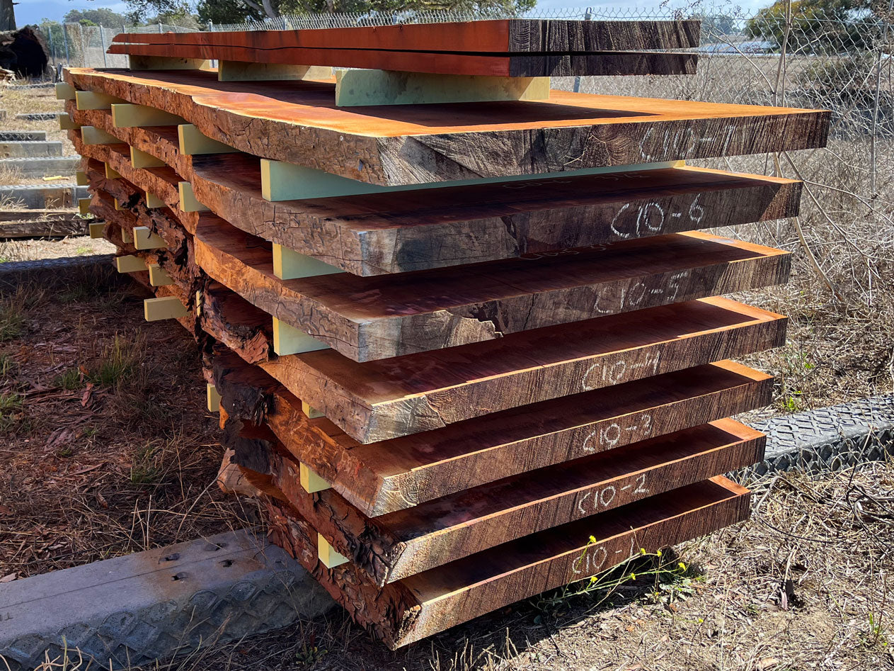 Giant Sequoia Live Edge Slab – 14.33' x 48" x 3" – Old Growth, Air-Dried – #C10-2