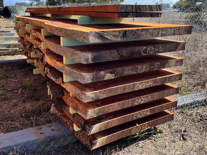 Giant Sequoia Live Edge Slab – 14.33' x 48" x 3" – Old Growth, Air-Dried – #C10-2