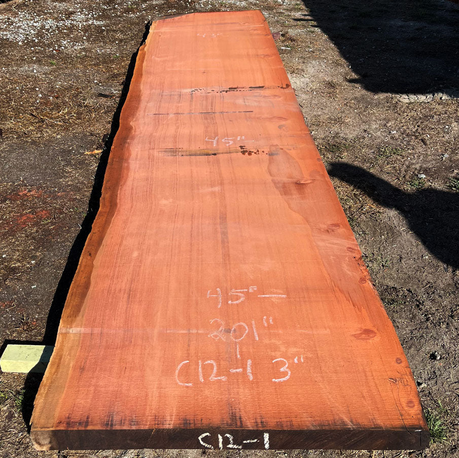 Giant Sequoia Live Edge Slab – 16.75' x 45" x 2.5" – Old Growth, Air-Dried – #C12-1