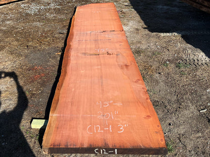 Giant Sequoia Live Edge Slab – 16.75' x 45" x 2.5" – Old Growth, Air-Dried – #C12-1
